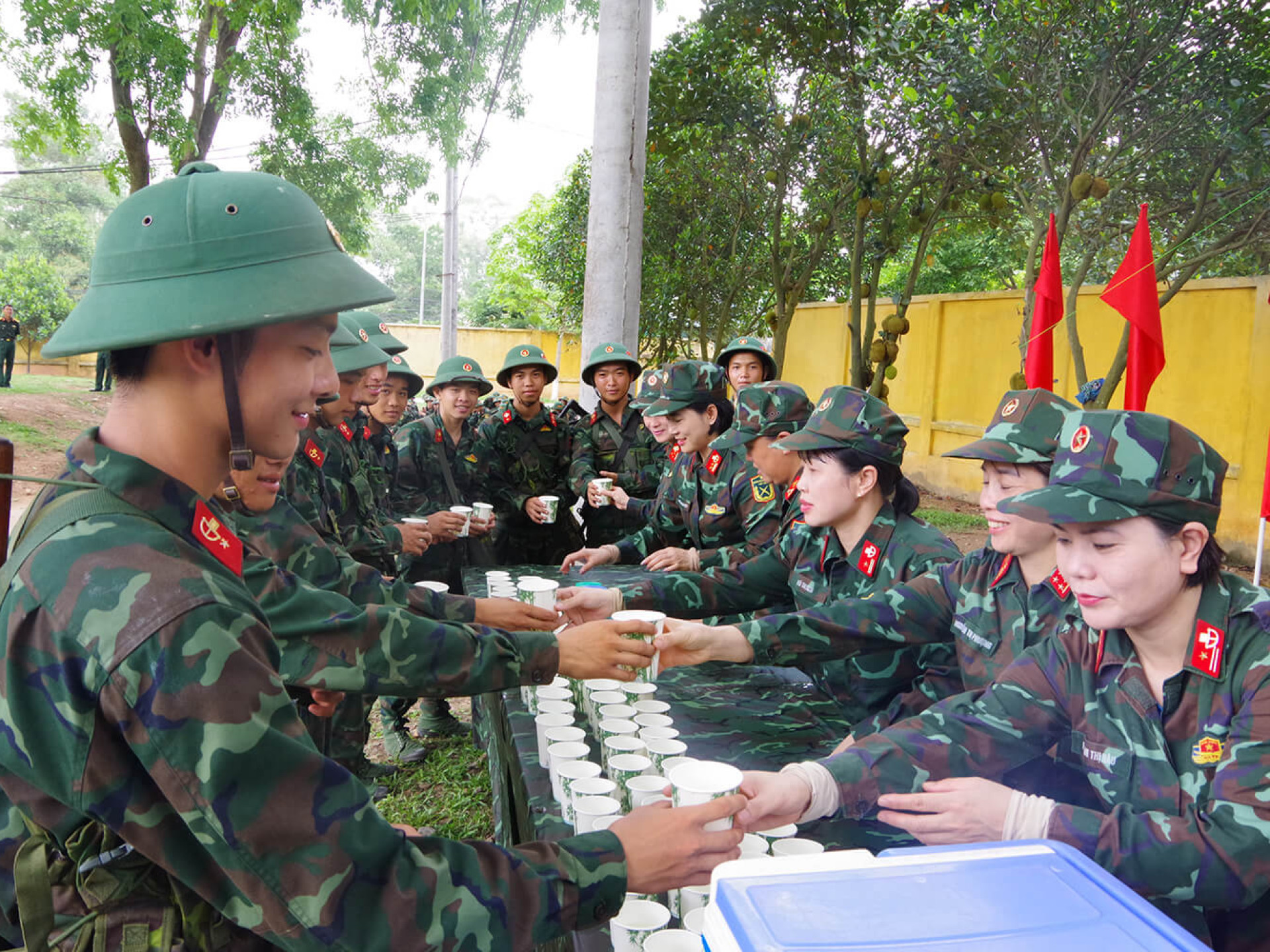 HOA THÉP NƠI THAO TRƯỜNG