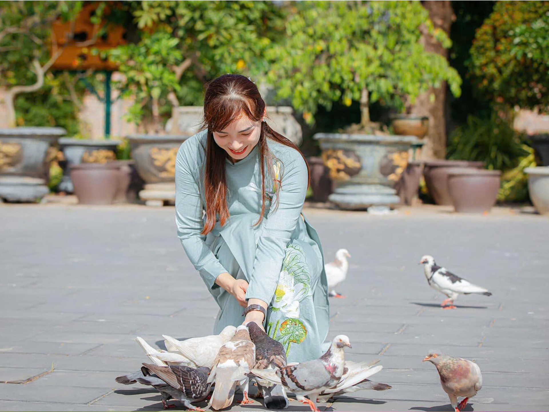 NÉT DUYÊN GIỮA CÁNH CHIM HÒA BÌNH