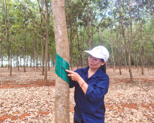 NỮ CÔNG NHÂN VỚI TAY NGHỀ VÀNG
