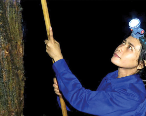 RƠ MAH H’LIÊN – GƯƠNG SÁNG VÙNG BIÊN