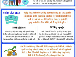 BẢO HIỂM XÃ HỘI, BẢO HIỂM Y TẾ - TRỤ CỘT AN SINH BỀN VỮNG