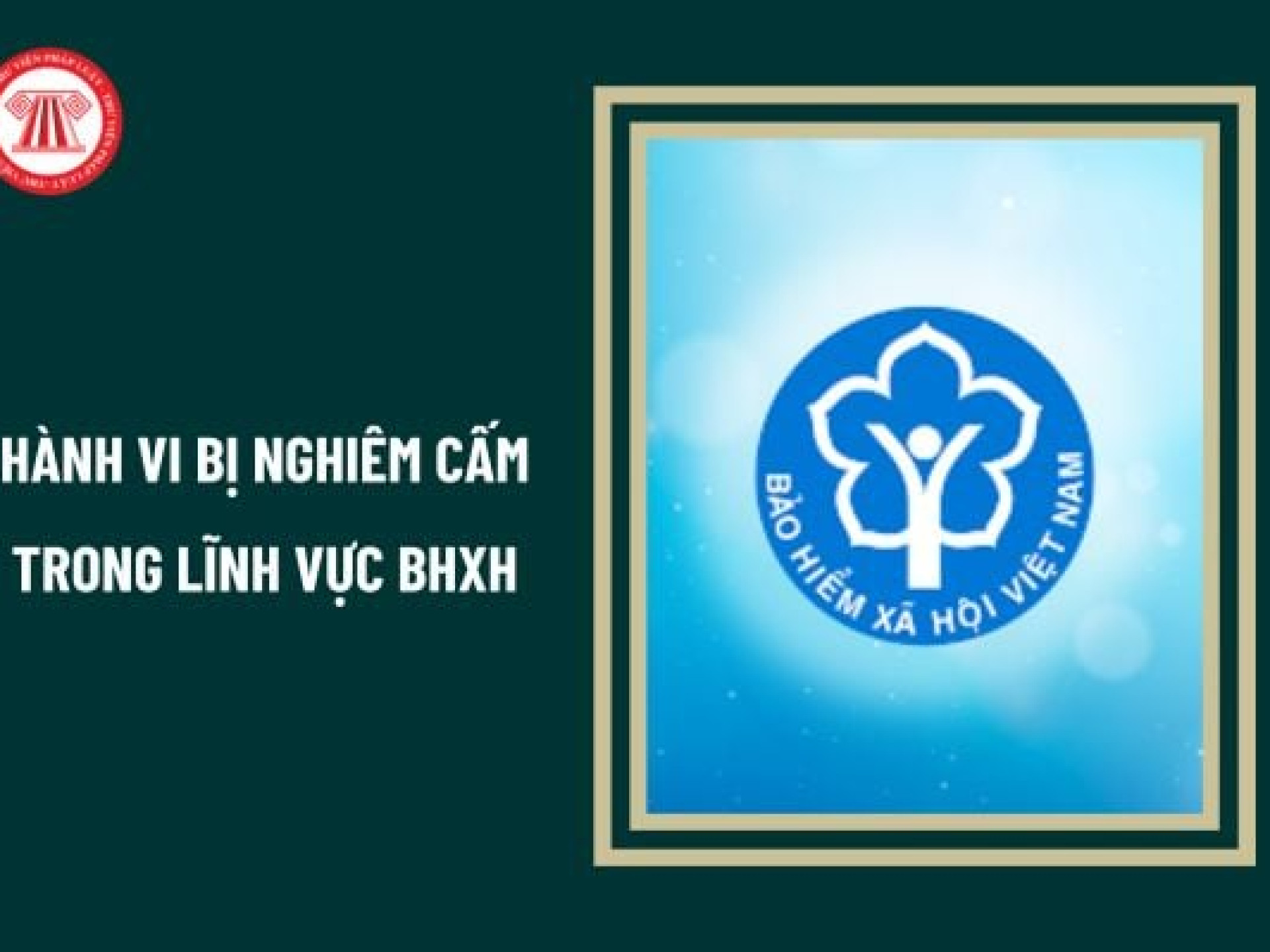 CÁC HÀNH VI BỊ NGHIÊM CẤM TRONG LĨNH VỰC BẢO HIỂM XÃ HỘI ĐƯỢC QUY ĐỊNH NHƯ THẾ NÀO?