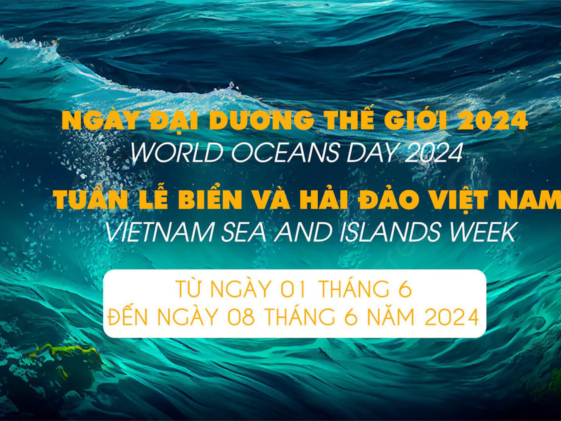 CHỦ ĐỀ NGÀY ĐẠI DƯƠNG THẾ GIỚI NĂM 2024?