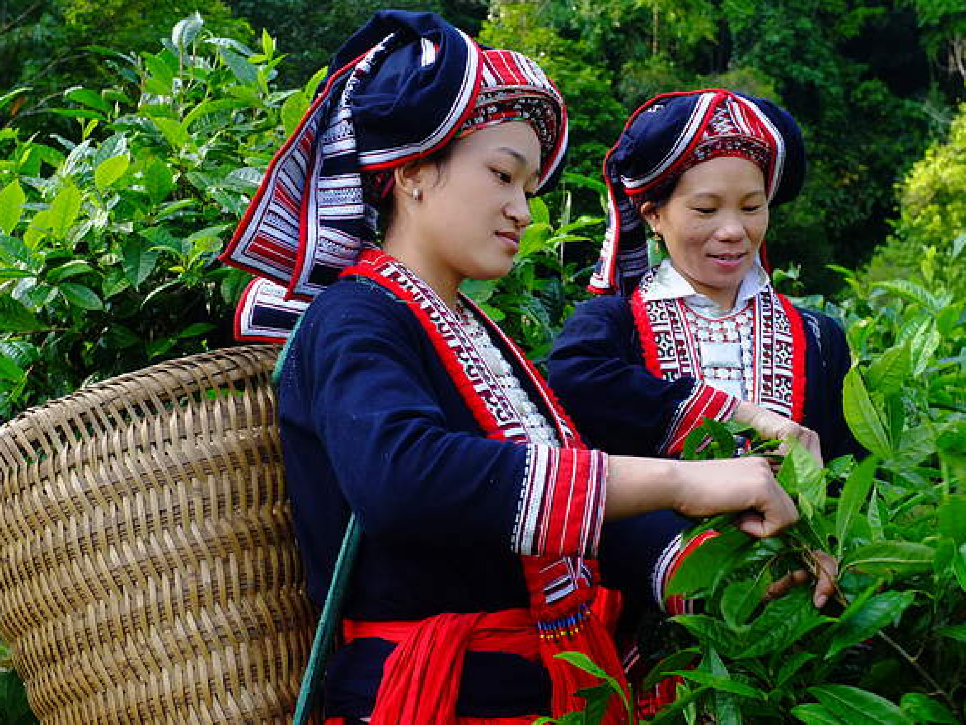 MỘT SỐ CHÍNH SÁCH ĐẶC THÙ HỖ TRỢ SỨC KHỎE SINH SẢN CHO PHỤ NỮ DÂN TỘC THIỂU SỐ