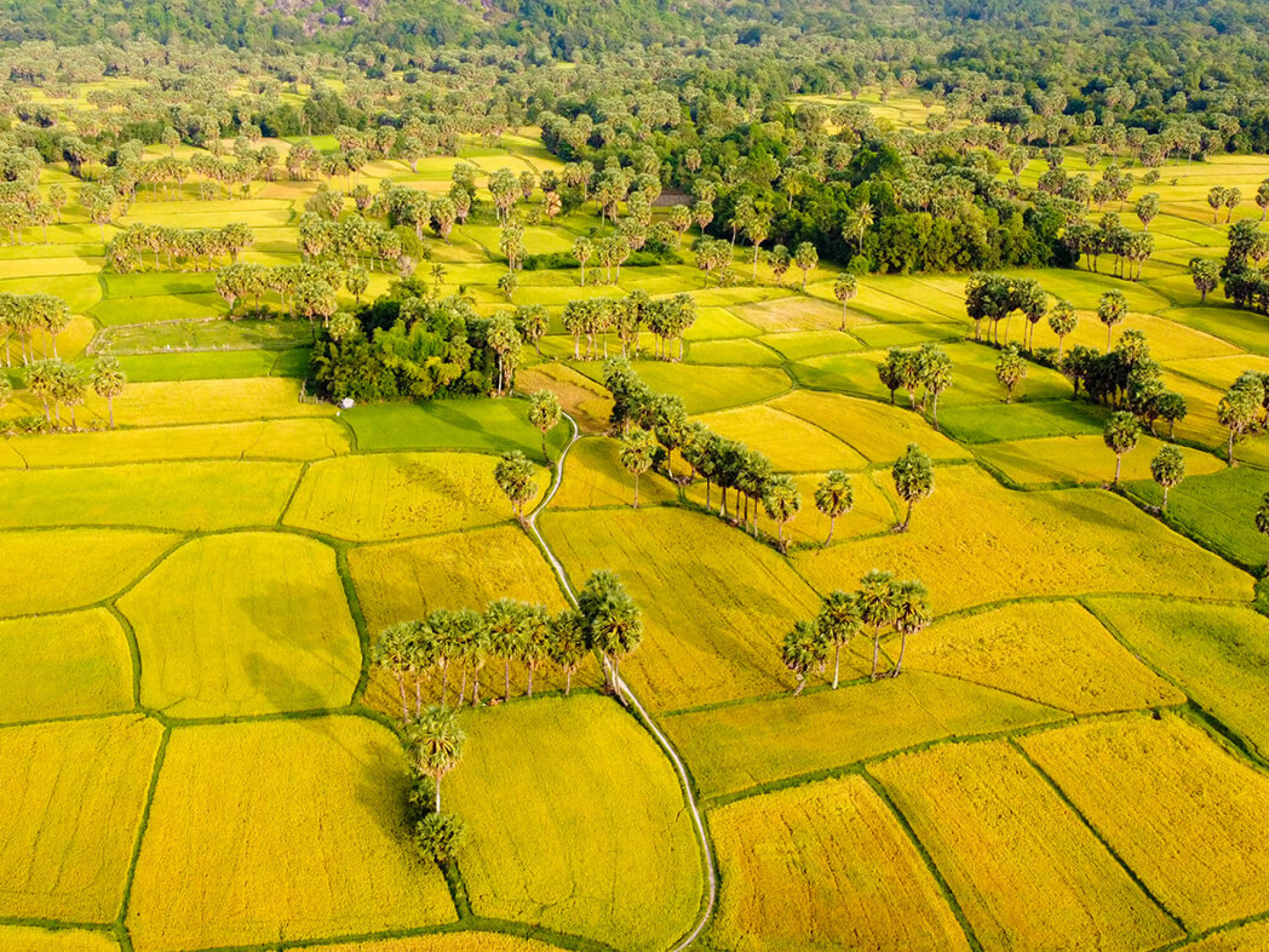 MỘT THOÁNG AN GIANG