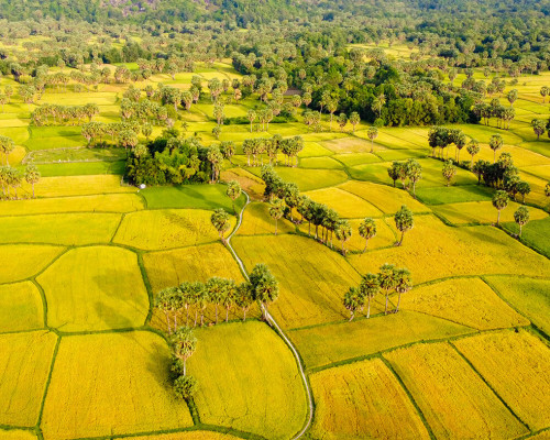 MỘT THOÁNG AN GIANG