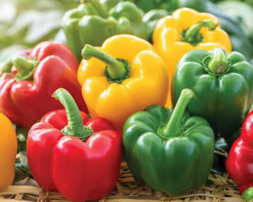 CHỌN ỚT CHUÔNG CHUẨN: BÍ QUYẾT CHO BỮA ĂN KHỎE MẠNH HƠN