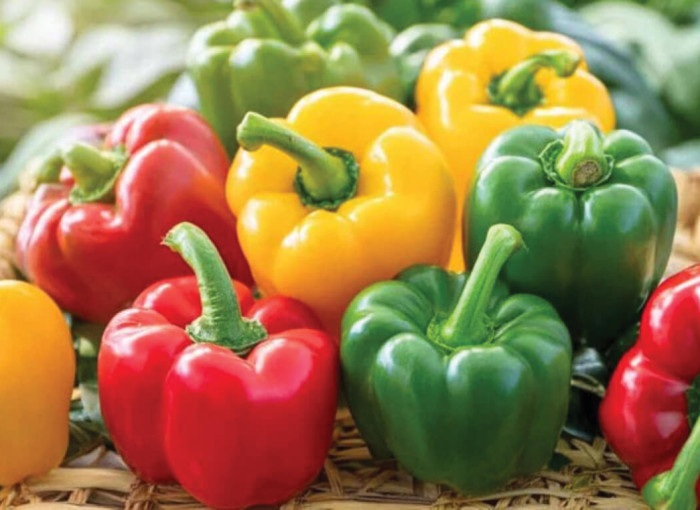 CHỌN ỚT CHUÔNG CHUẨN: BÍ QUYẾT CHO BỮA ĂN KHỎE MẠNH HƠN