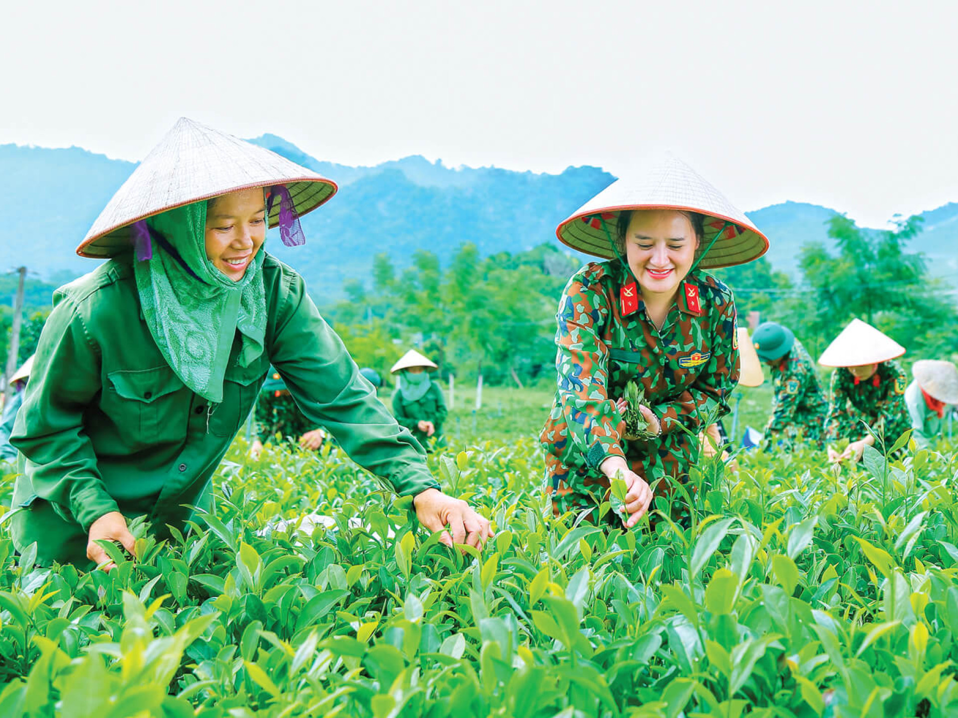 THẮM TÌNH QUÂN DÂN