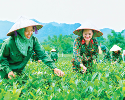 THẮM TÌNH QUÂN DÂN