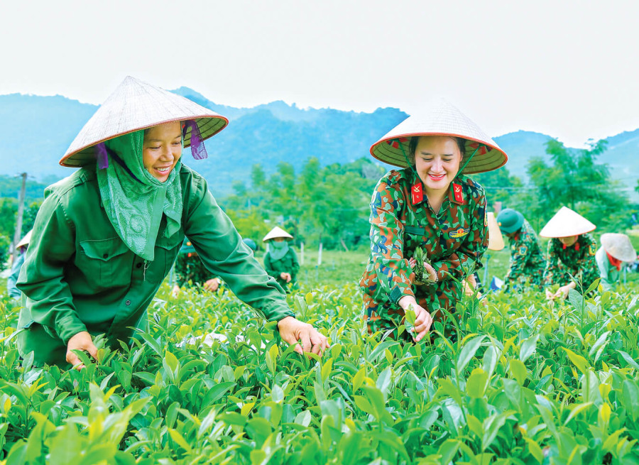 THẮM TÌNH QUÂN DÂN