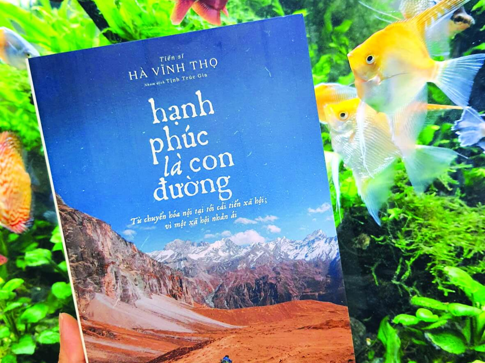 HẠNH PHÚC LÀ CON ĐƯỜNG