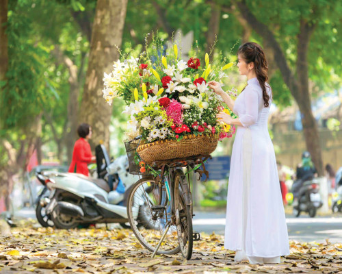 PHỐ NGÀY CHỚM ĐÔNG