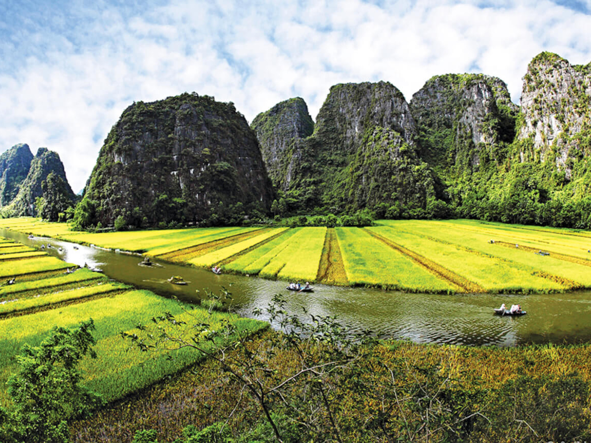 QUÊ HƯƠNG VIỆT NAM