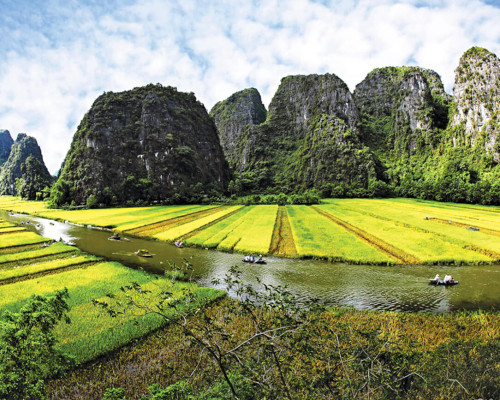 QUÊ HƯƠNG VIỆT NAM