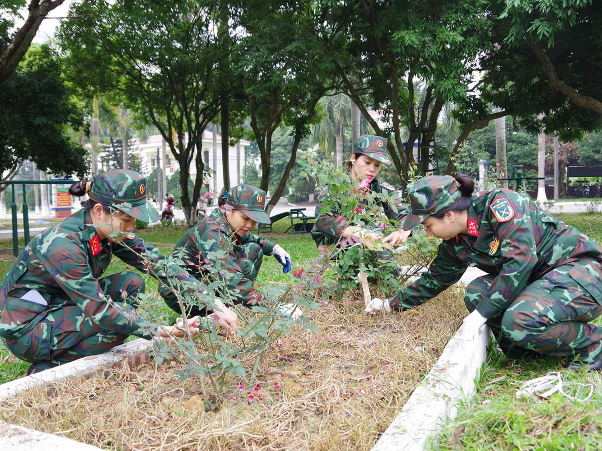 RA QUÂN VỆ SINH MÔI TRƯỜNG, XÂY DỰNG “KHUÔN VIÊN XANH”
