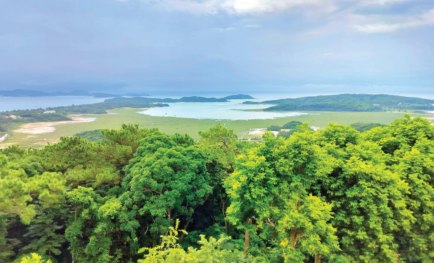 CÔ TÔ, BẢN TÌNH CA DỊU DÀNG