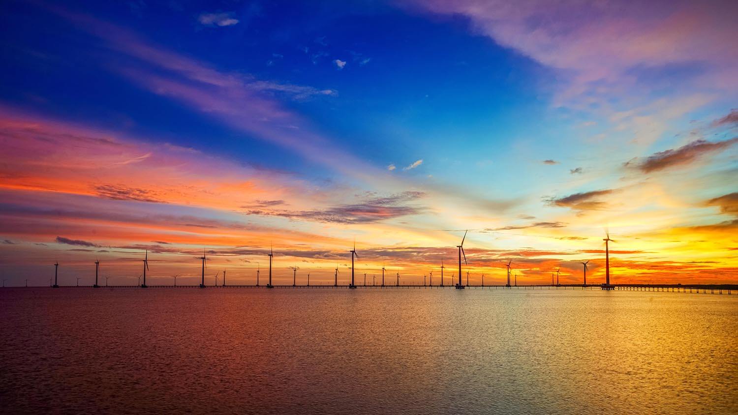 ĐẤT VÀ NGƯỜI CÀ MAU