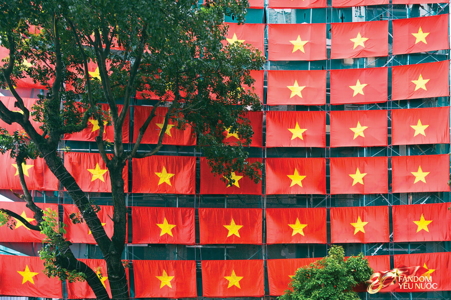 RỰC RỠ TRONG NẮNG THU